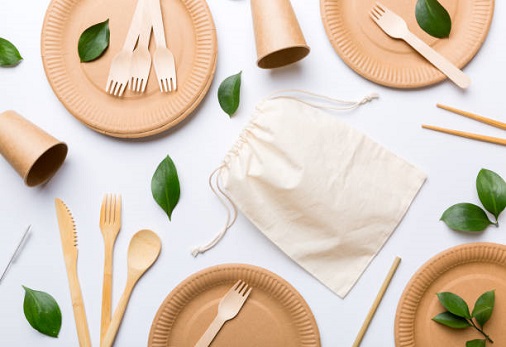 Takeout With a Twist: The Eco-Friendly Choice of Wholesale Sugarcane Biodegradable Plates Takeout With a Twist: The Eco-Friendly Choice of Wholesale Sugarcane Biodegradable Plates