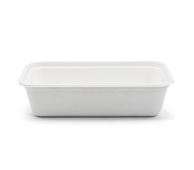 biodegradable food storage containers
