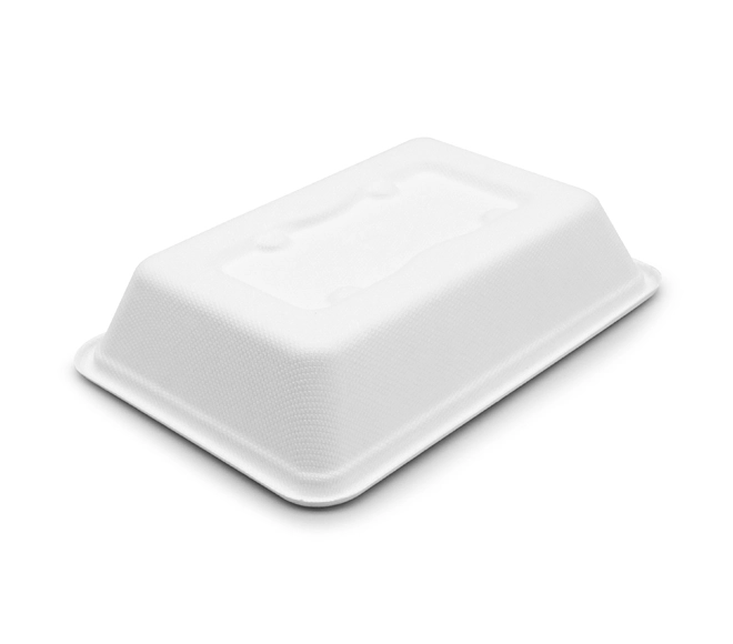 Wholesale Biodegradable Food Packaging