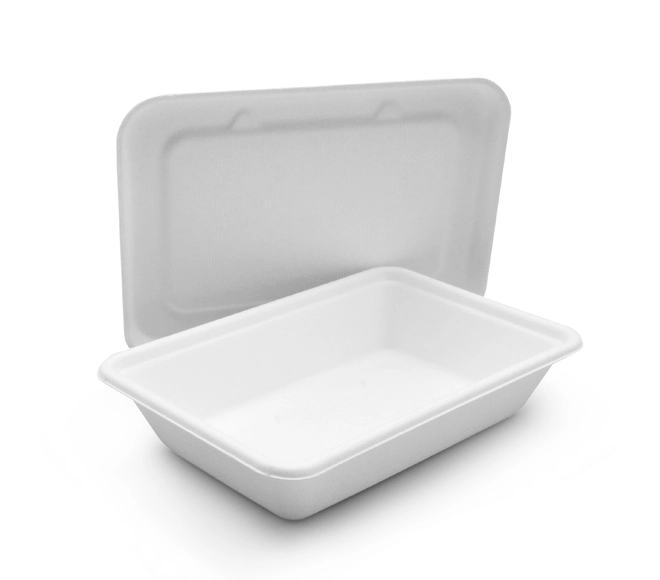Wholesale Sugarcane Takeaway Container