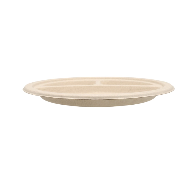 China sugarcane compostable plates
