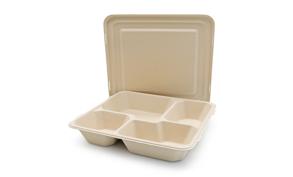 sugarcane bagasse tray
