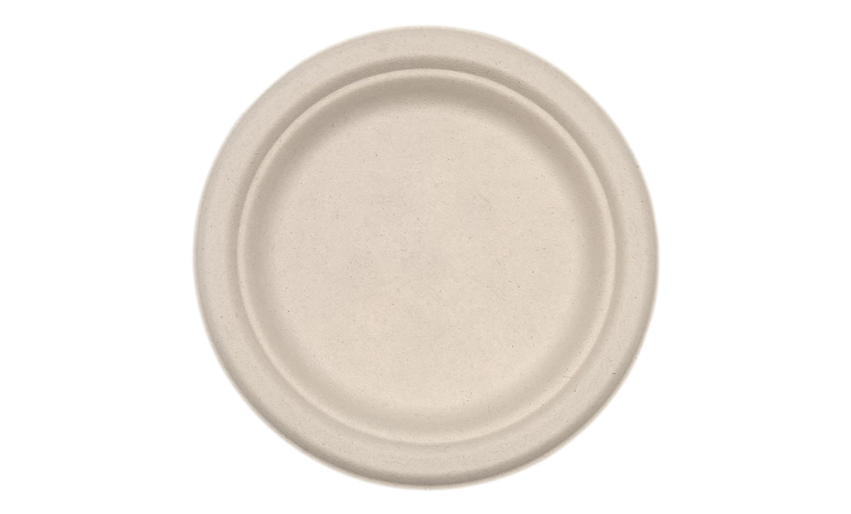 Disposable Plates for Restaurants