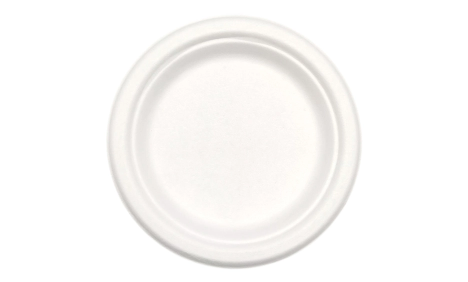 Sustainable Disposable Plates