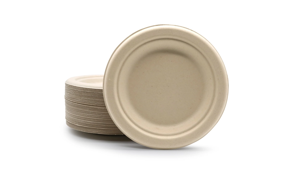 Disposable Restaurant Plates 