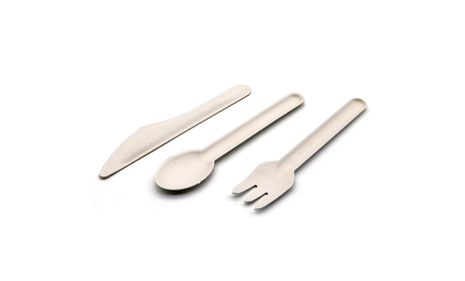bagasse cutlery
