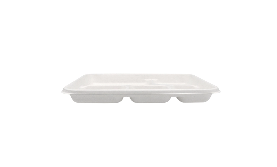 bagasse fiber tray
