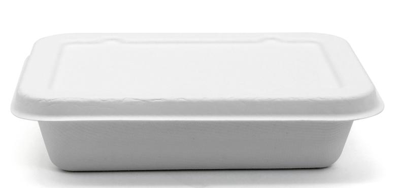 Bagasse Container with Lid