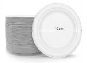 Disposable Takeaway Plates
